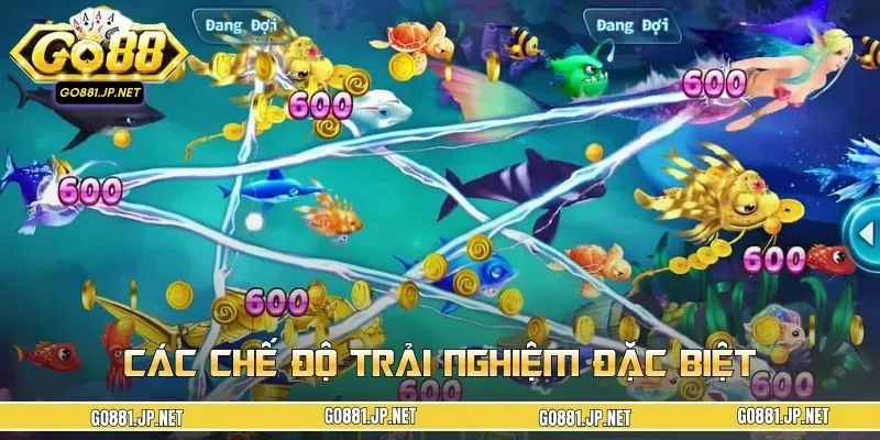 Chế độ săn cá Ngũ Long đều mang đến trải nghiệm mãn nhãn